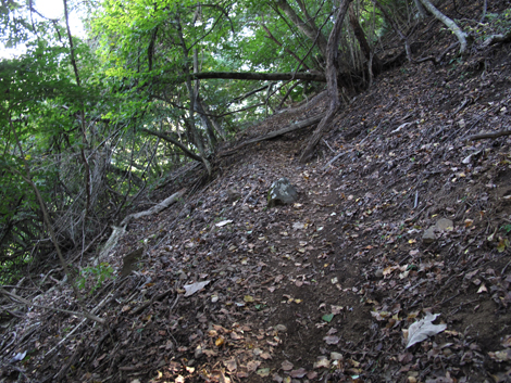 20151014hike (93)